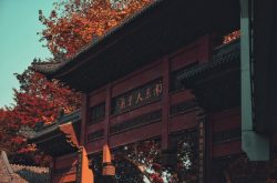 南京市远程公证，人在美国如何申请在线公证？