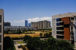 河南省远程公证，美国华人申请办理在线公证